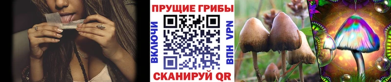 купить   Фролово  Псилоцибиновые грибы мухоморы 
